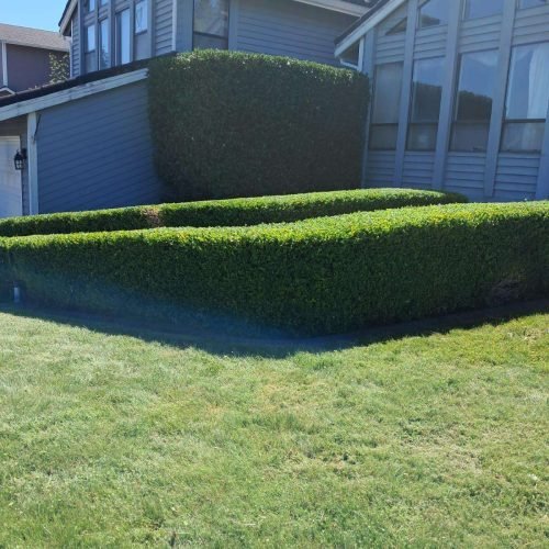 Imagen de WhatsApp 2025-07-15 a las 16.42.39_78fb5543